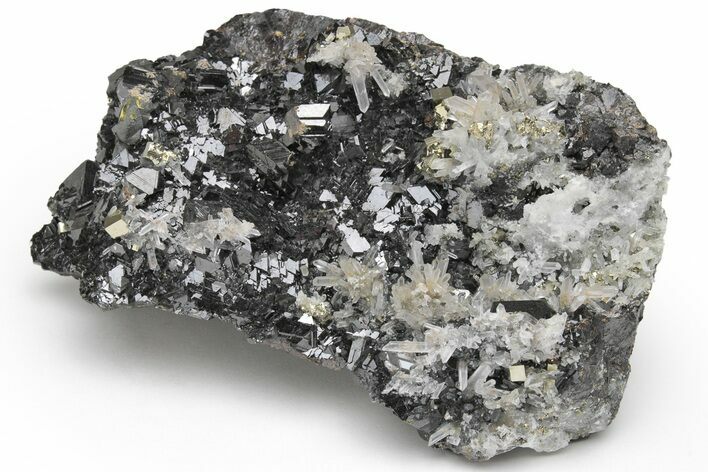 Sphalerite, Pyrite, Chalcopyrite, and Quartz Association - Peru #218860